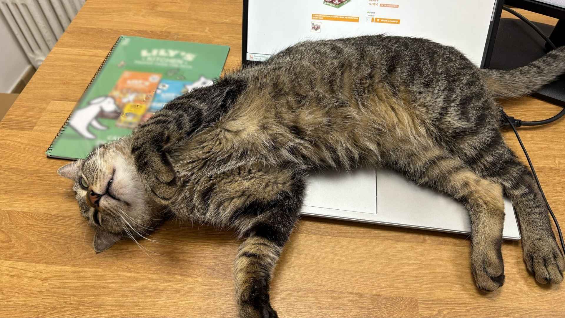 Ravioli en el teclado